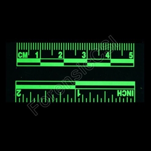Green Fluorescent Ruler Fluorescing 5cm 2 inch